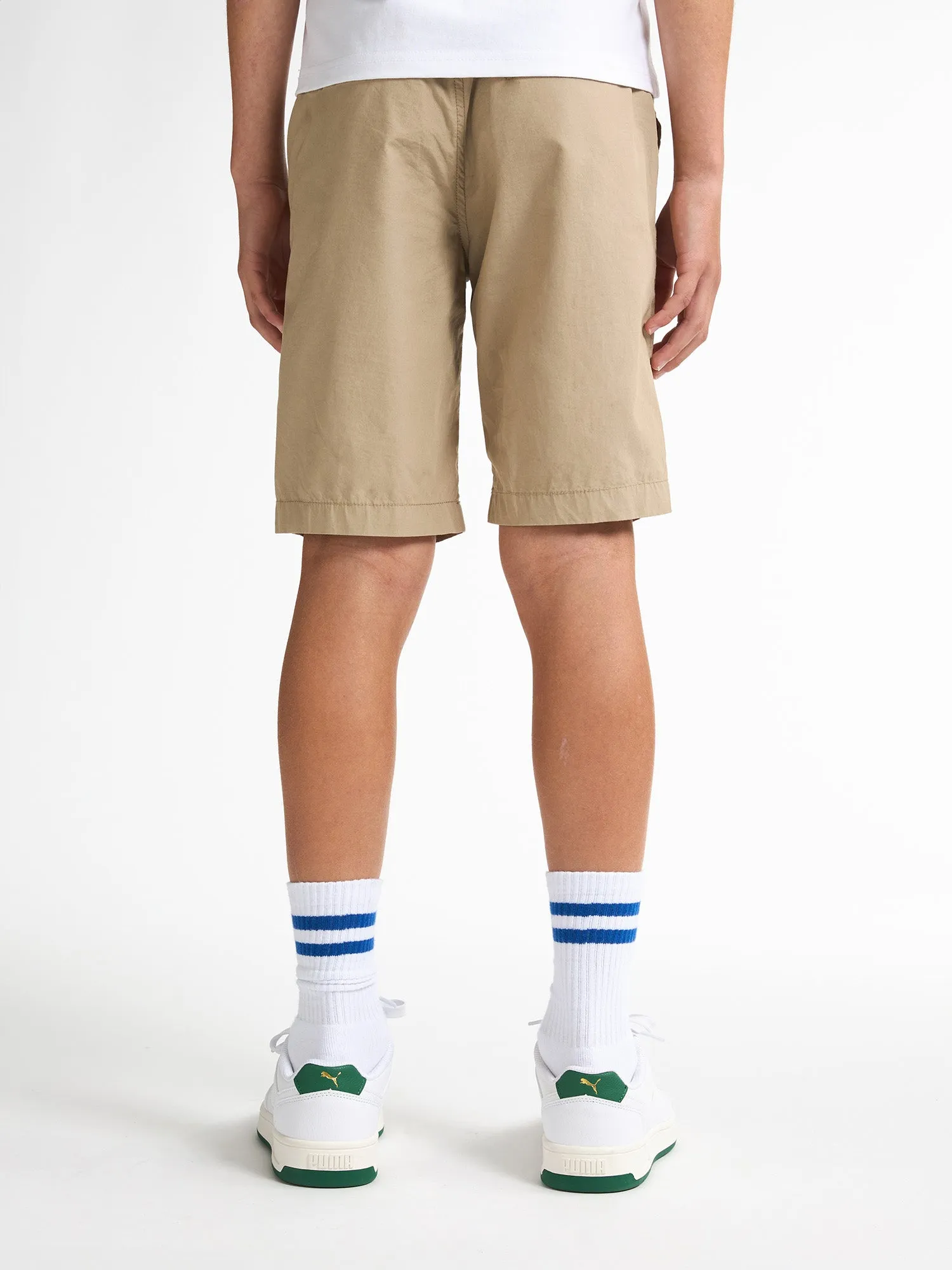 Chino Shorts Shark