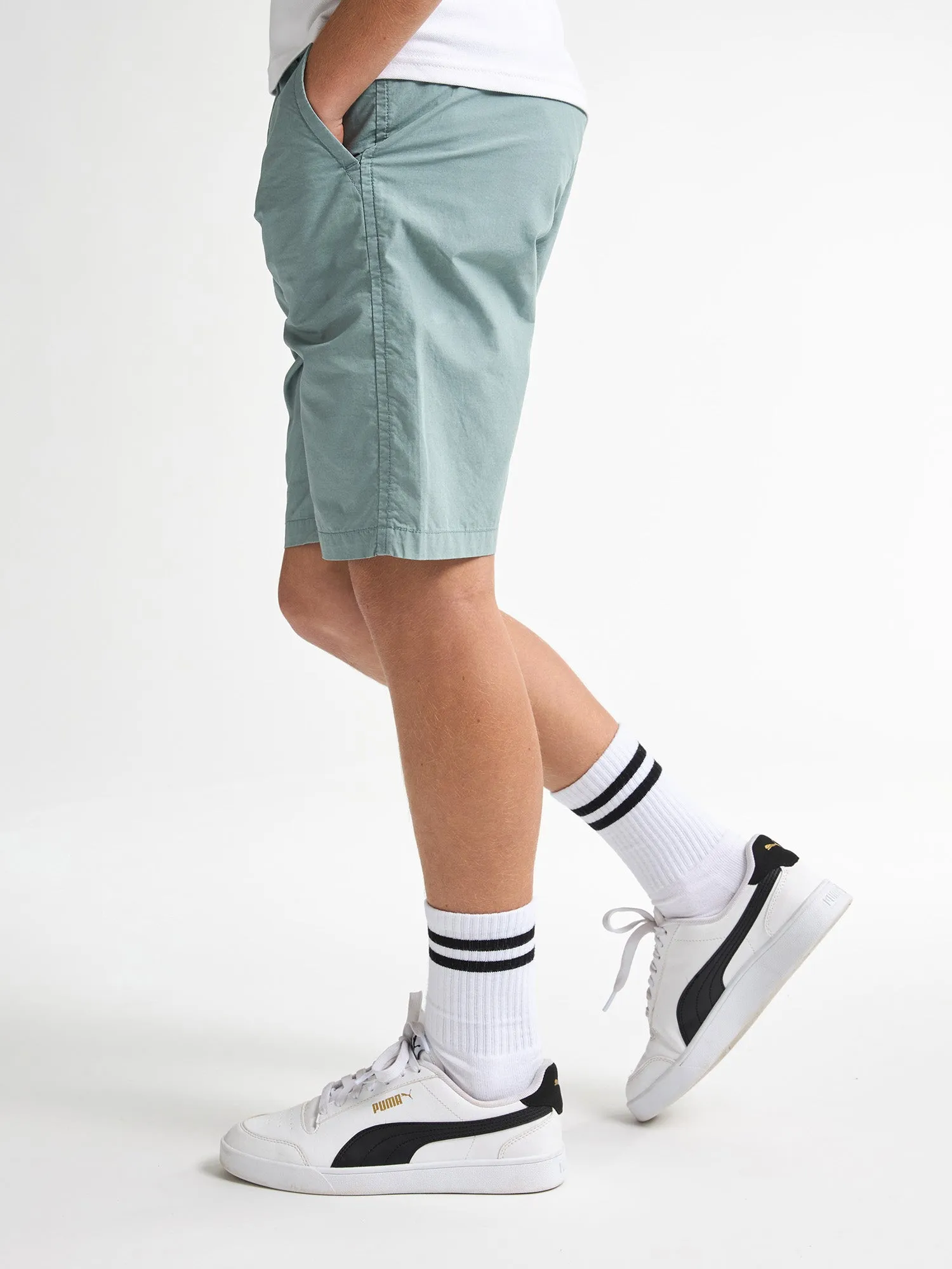Chino Shorts Shark