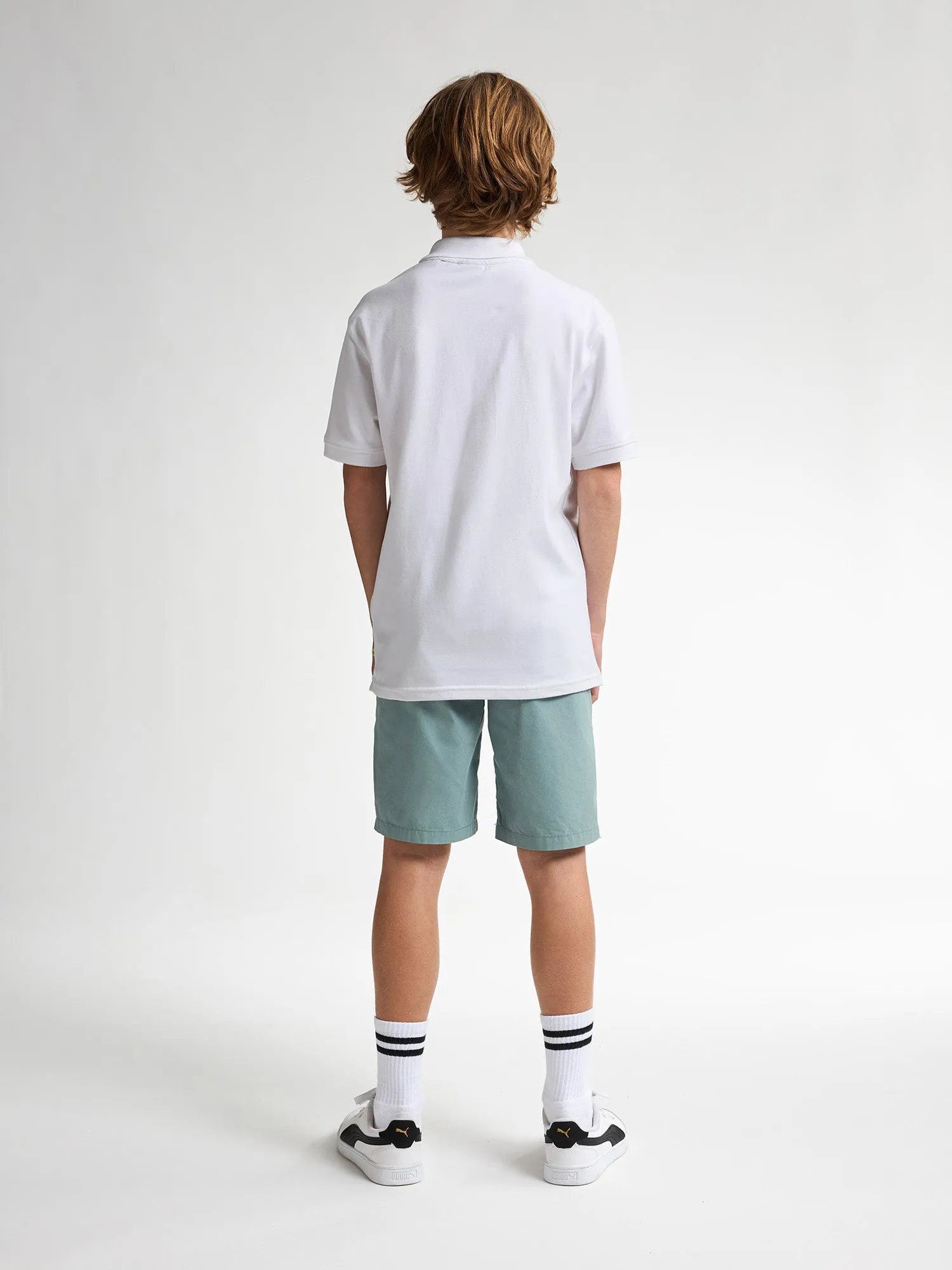 Chino Shorts Shark