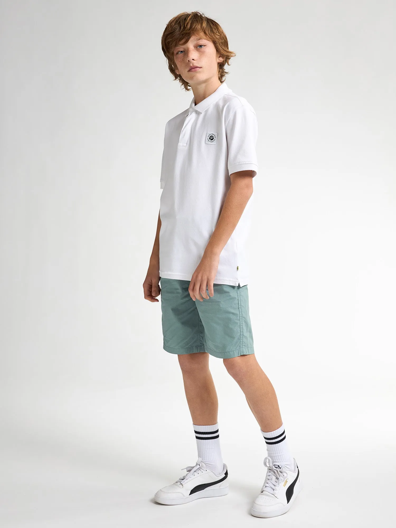Chino Shorts Shark