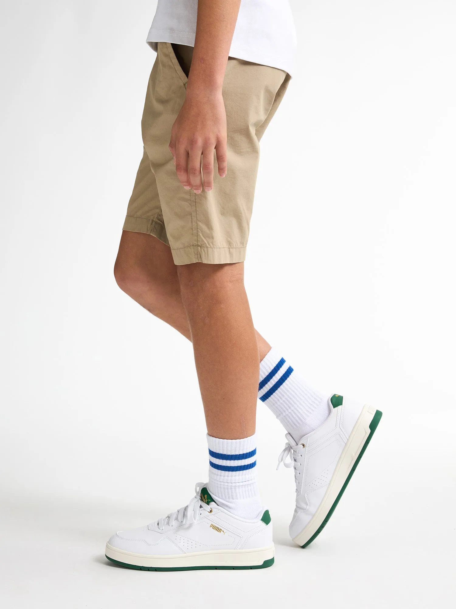 Chino Shorts Shark