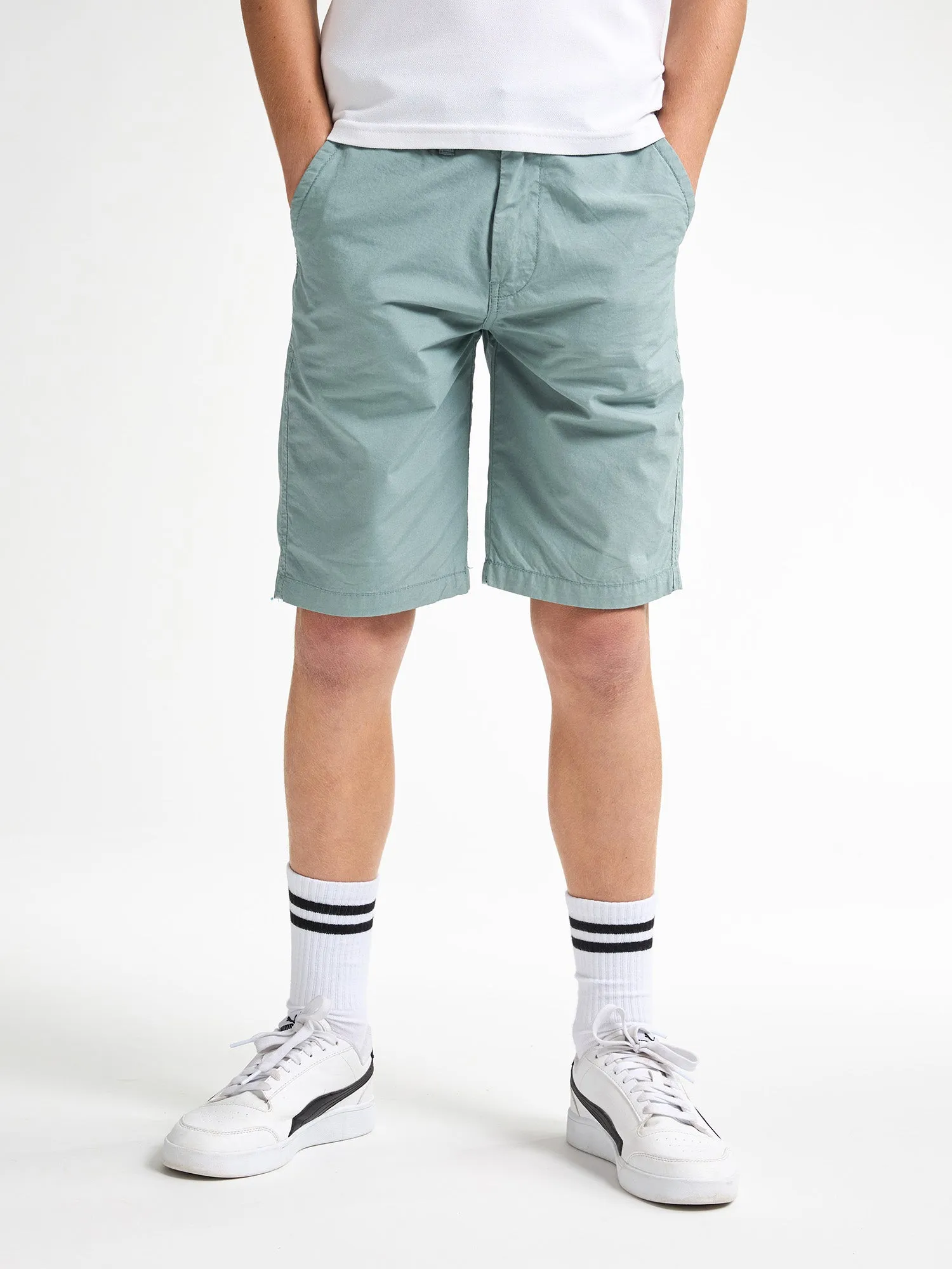 Chino Shorts Shark