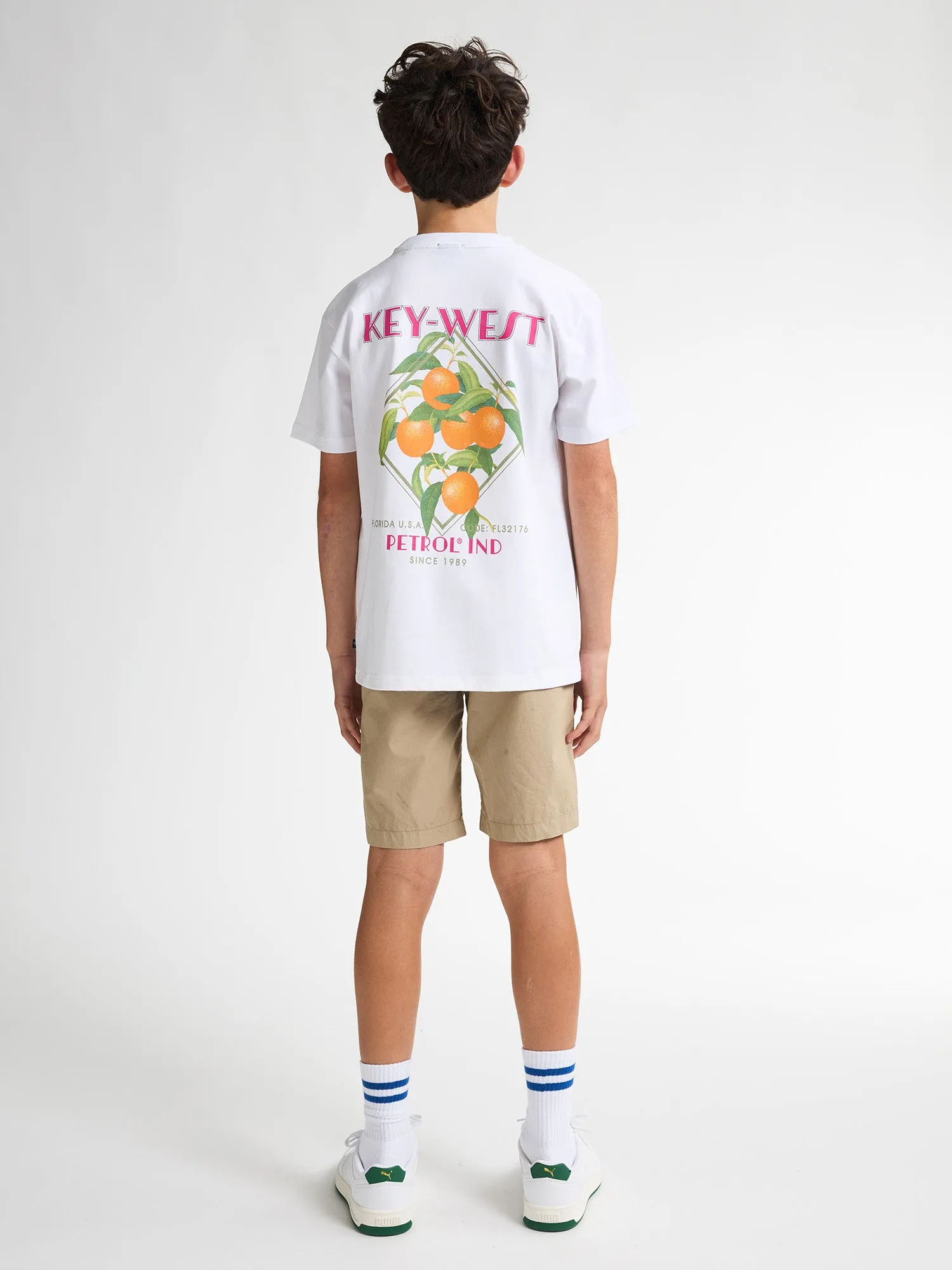 Chino Shorts Shark