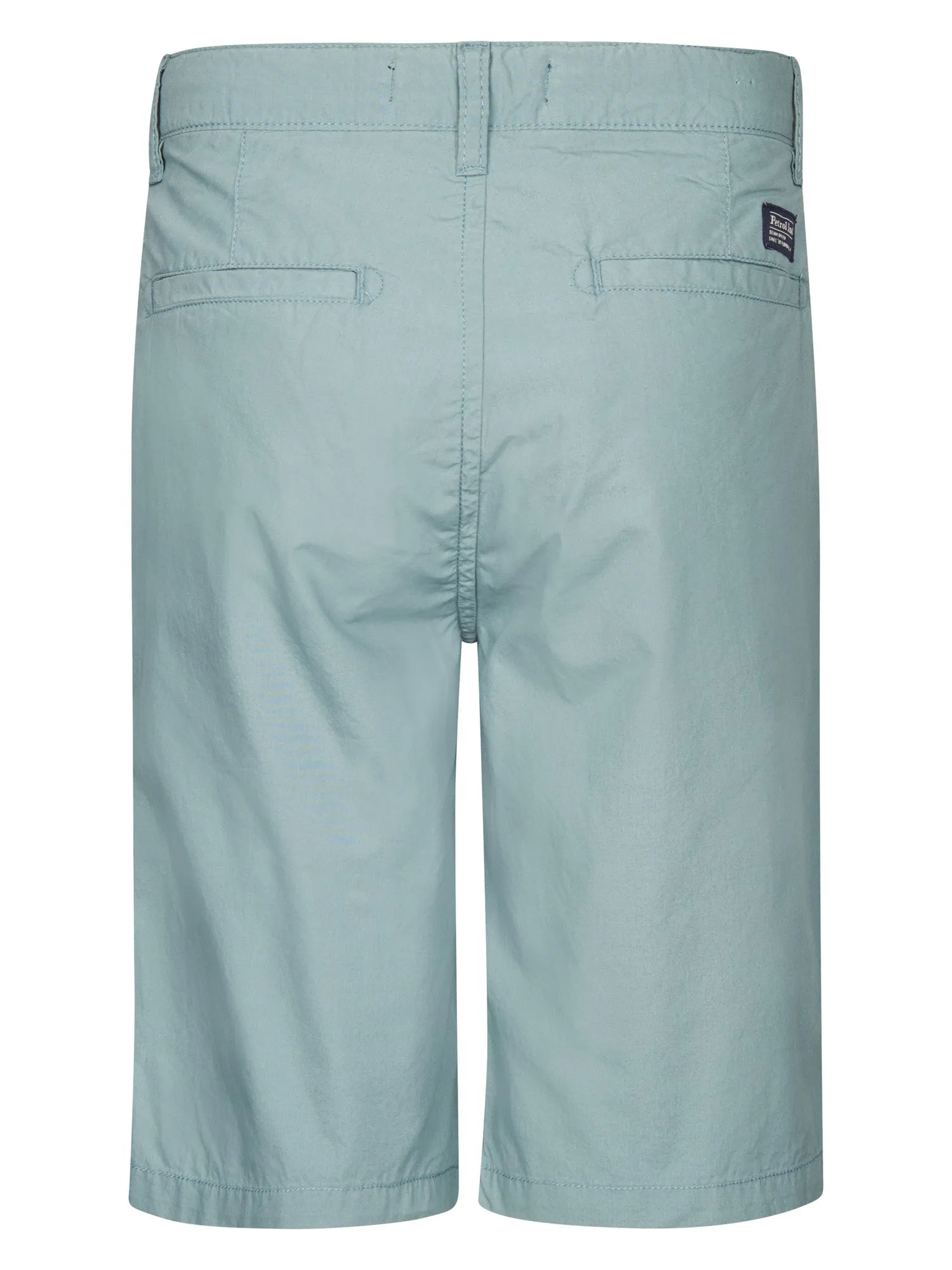 Chino Shorts Shark