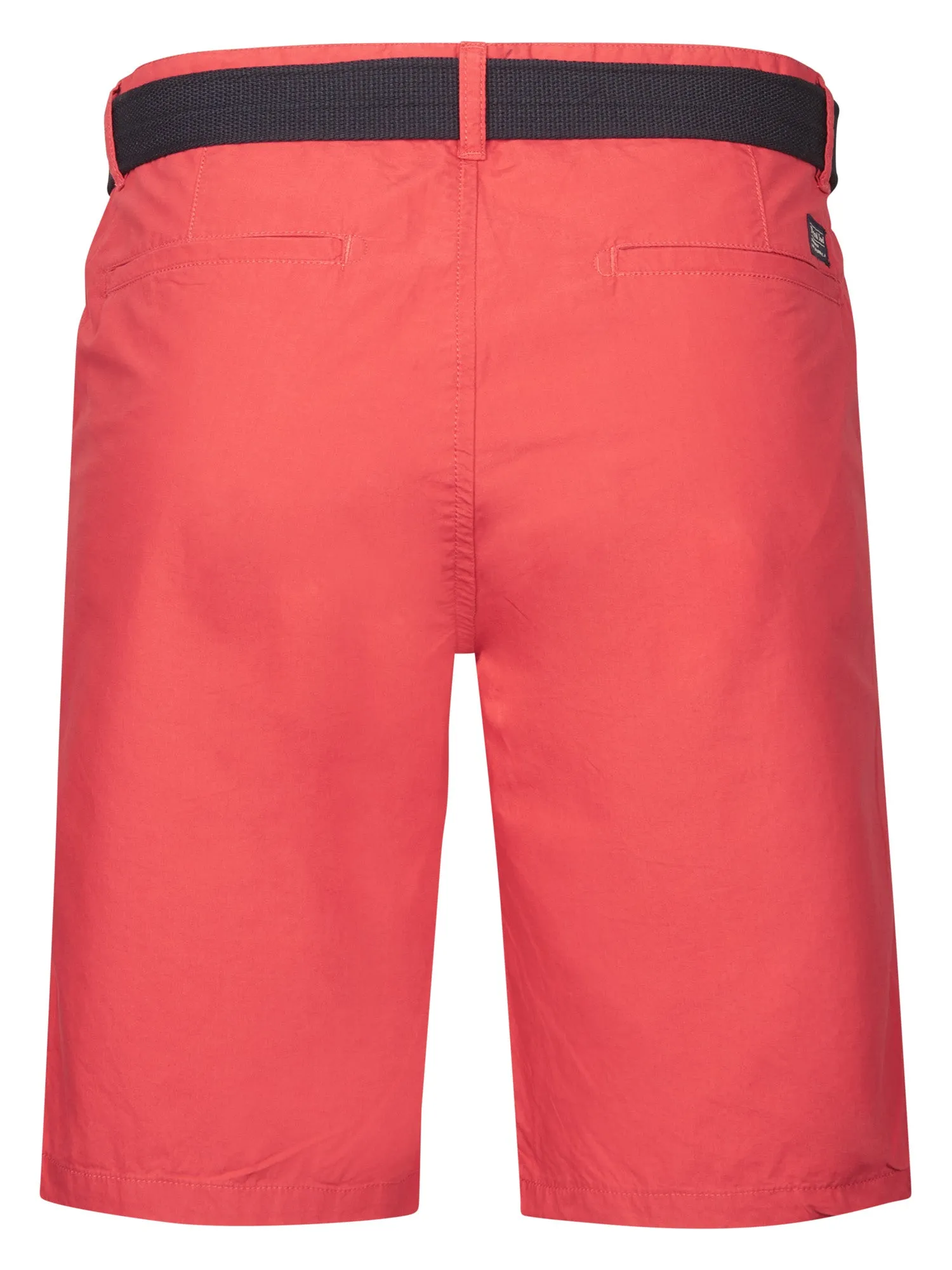 Chino Shorts with Belt Tropico