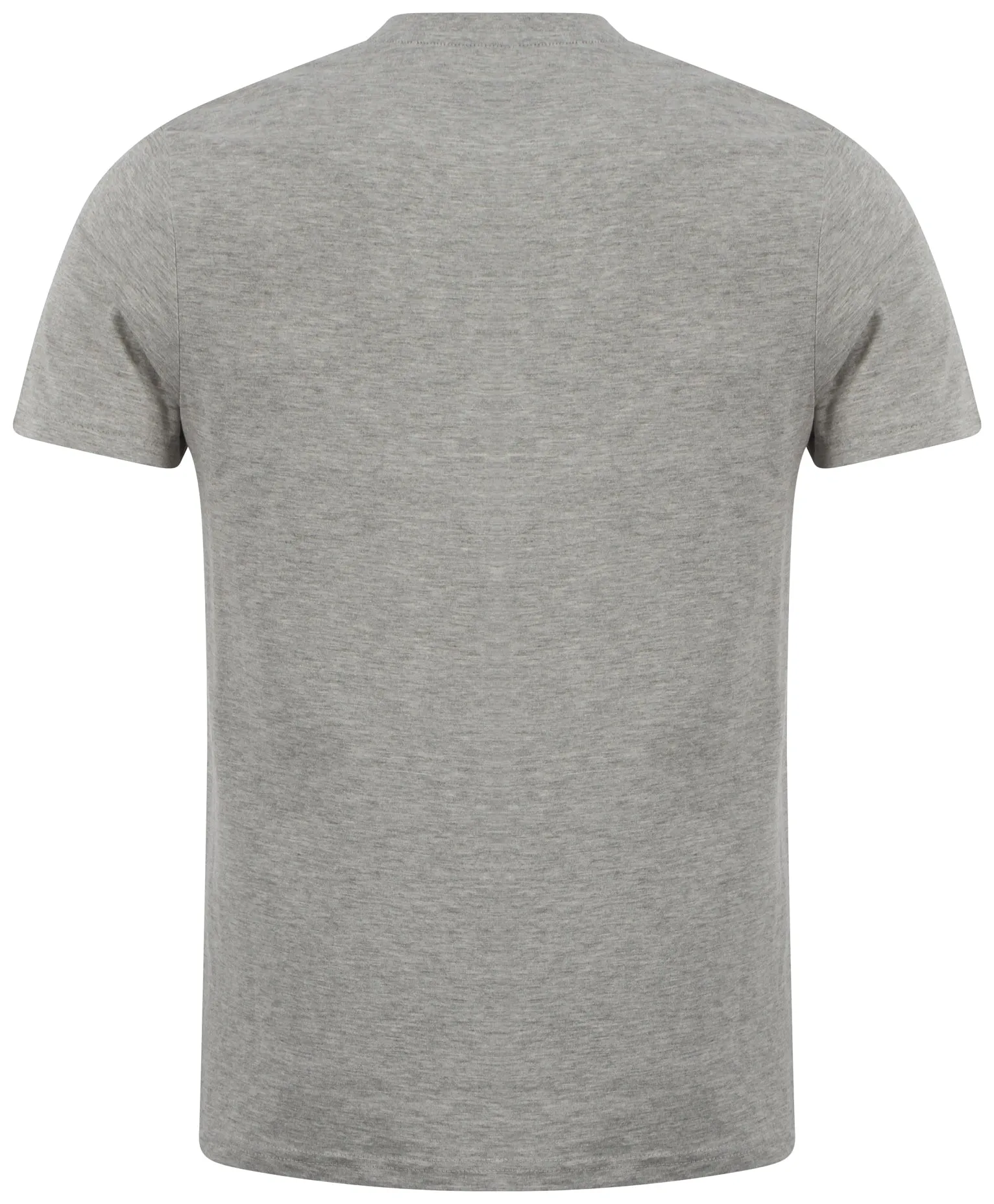 Dissident printed cotton light grey t-shirt