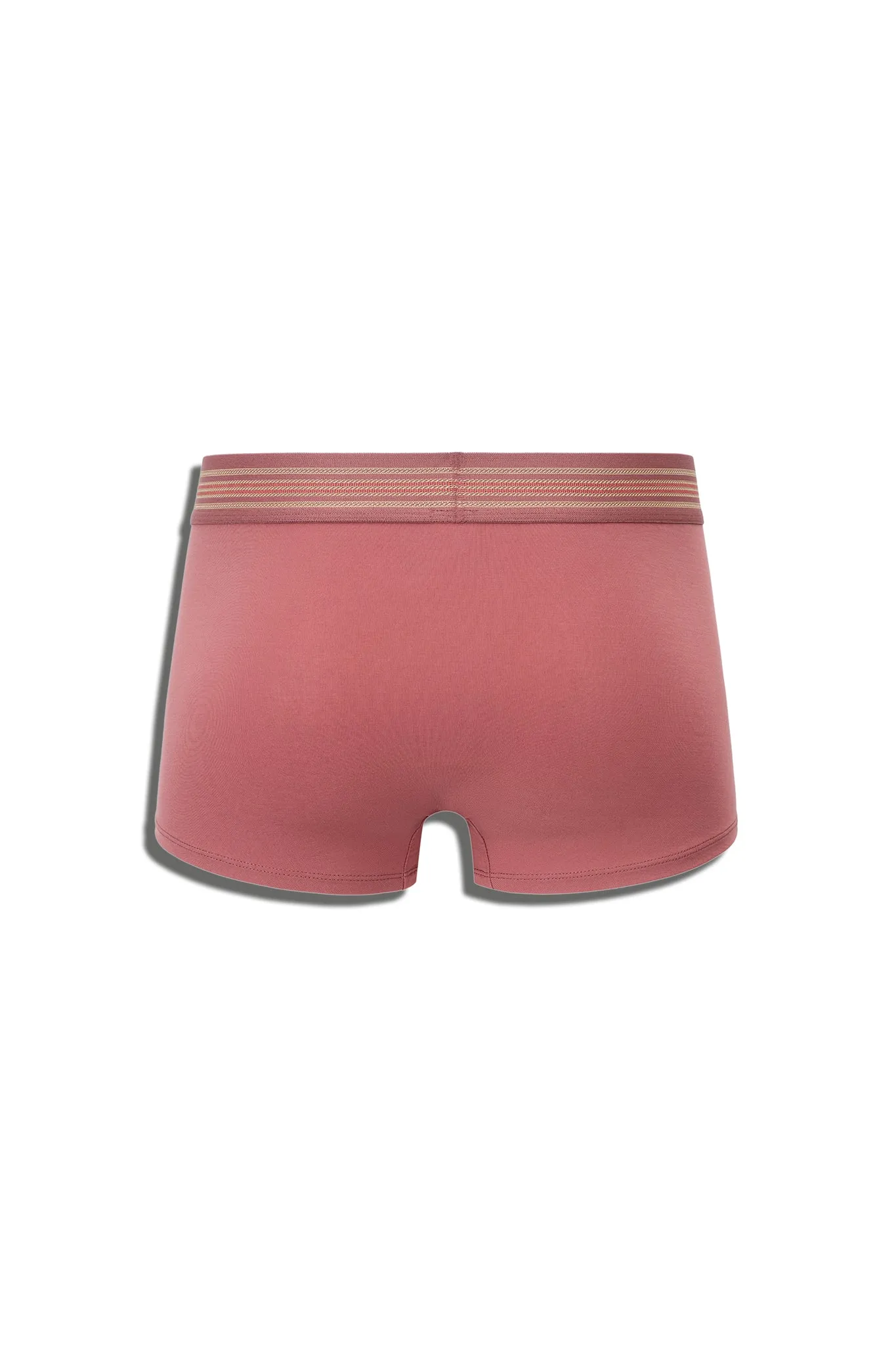 SAVILE ROW TRUNK